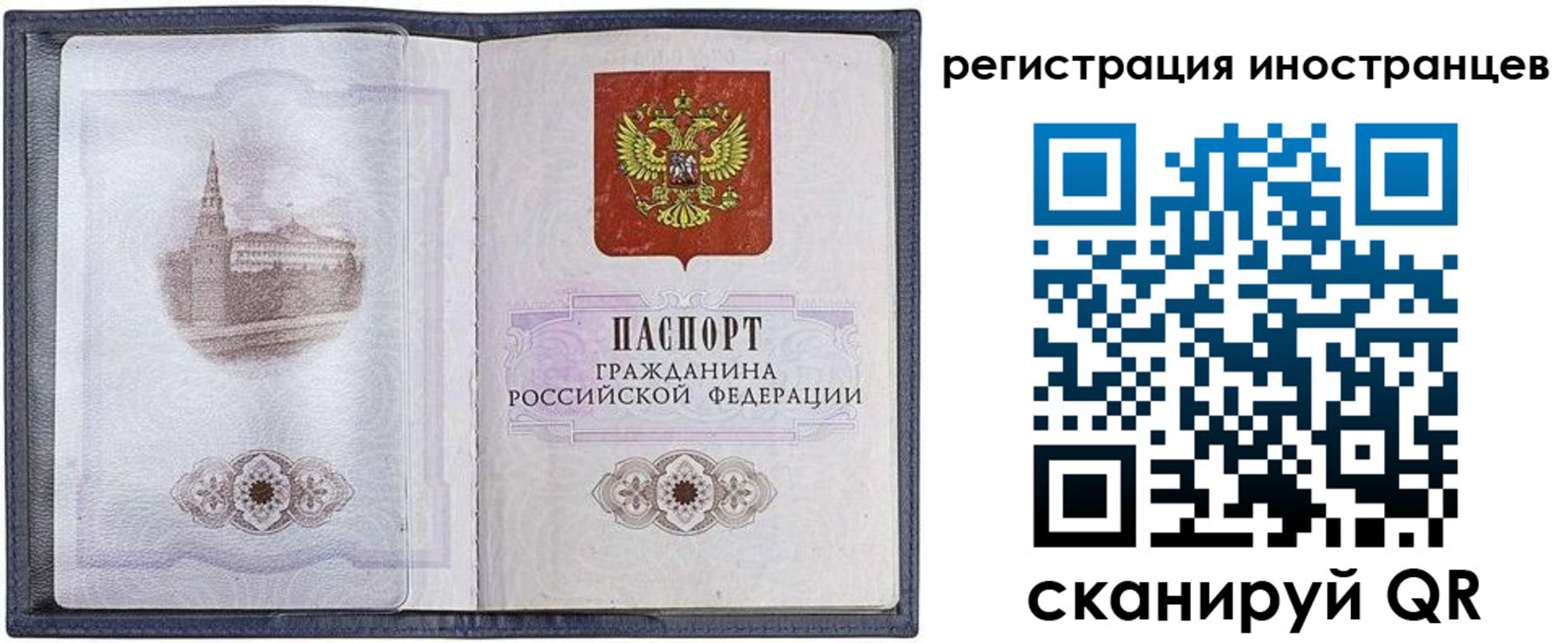 прописка паспорт в Сафоново